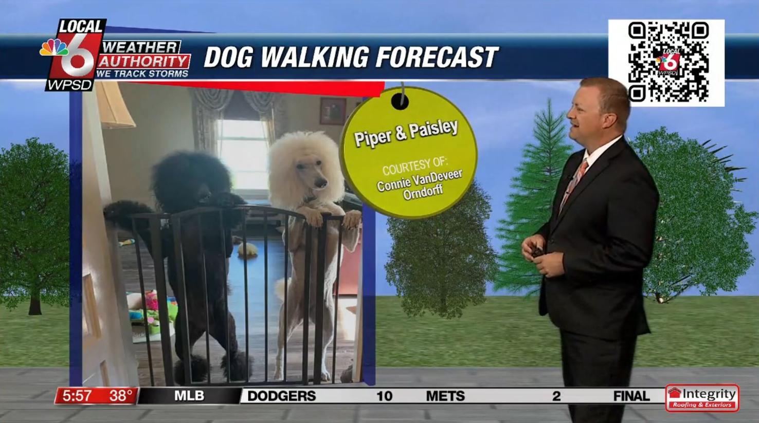 Dog walking forecast 10.18.24 Weather WPSD Local 6