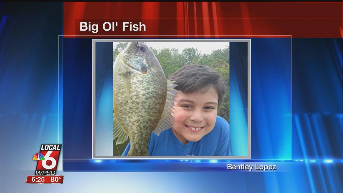 6 17 Big Ol Fish Sports Wpsd Local 6