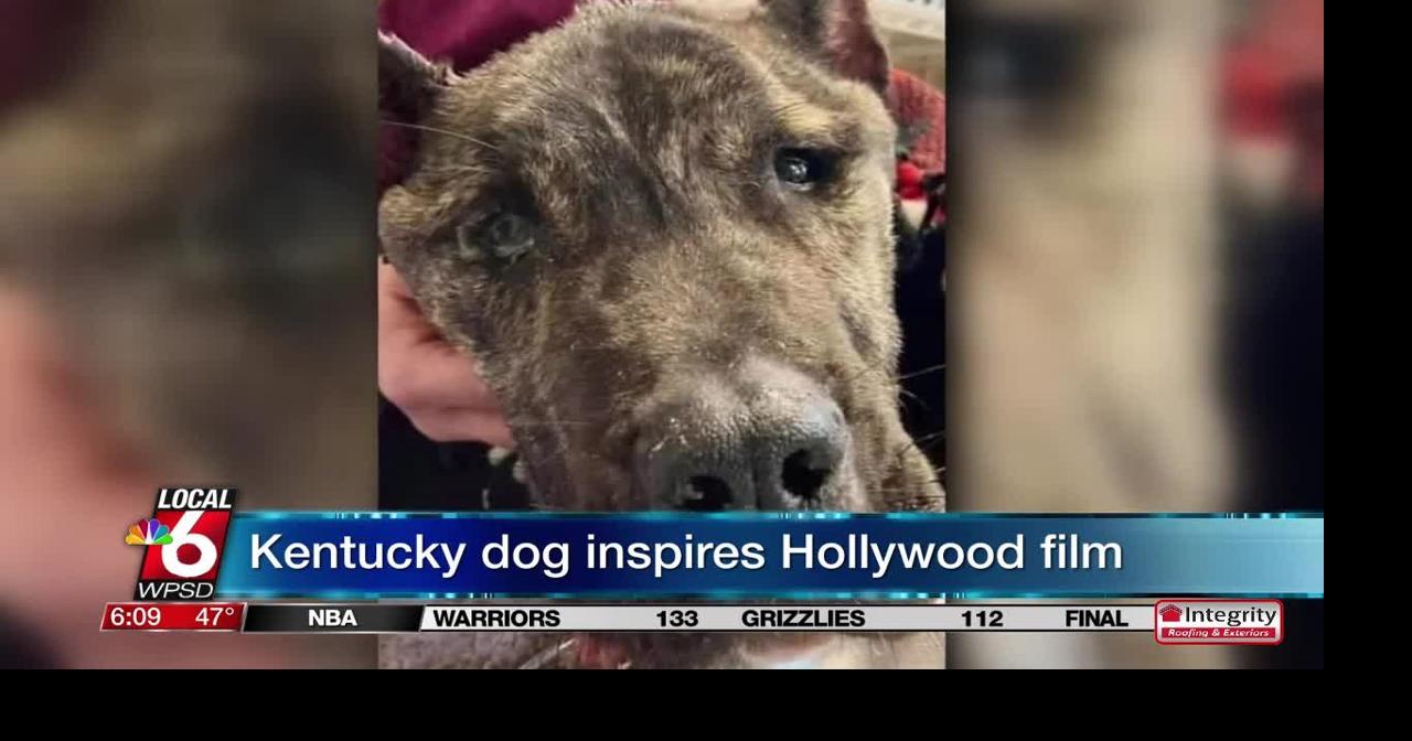 Kentucky dog inspires Hollywood film