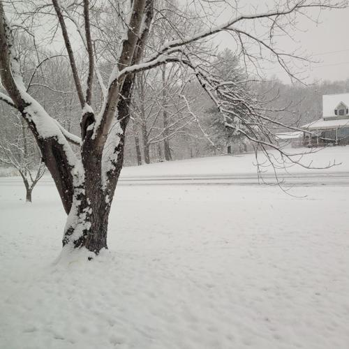 Jan. 2025 Snow Storm Photos WPSD Local 6