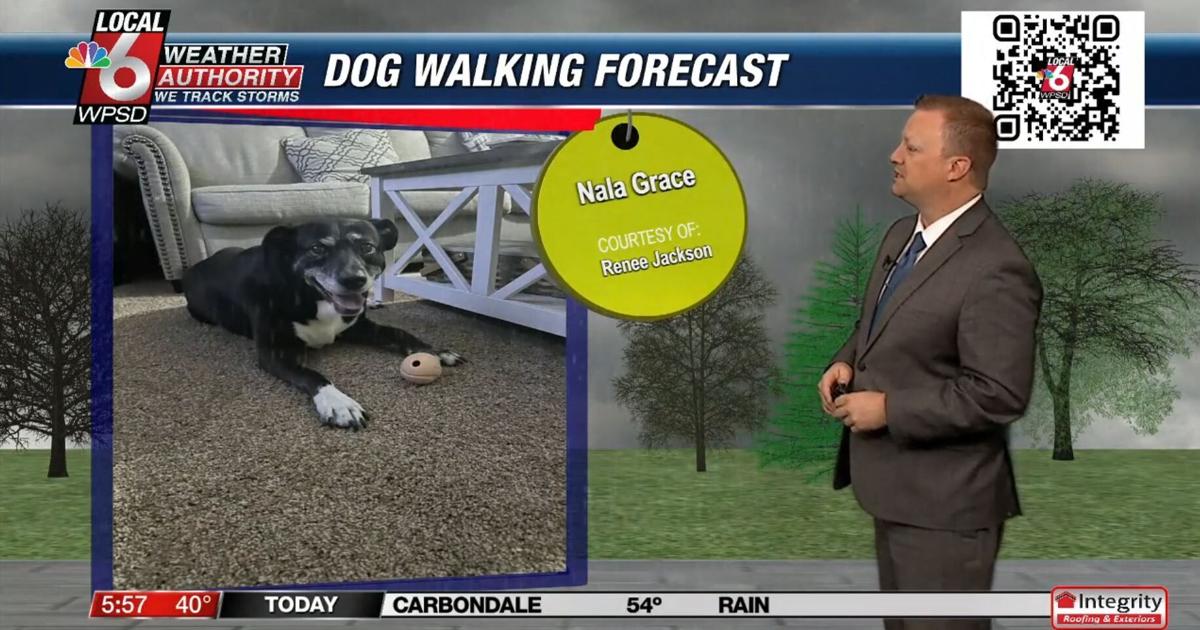 Dog walking forecast 1.30.25 | Weather Dog walking forecast 1.30.25 | Weather