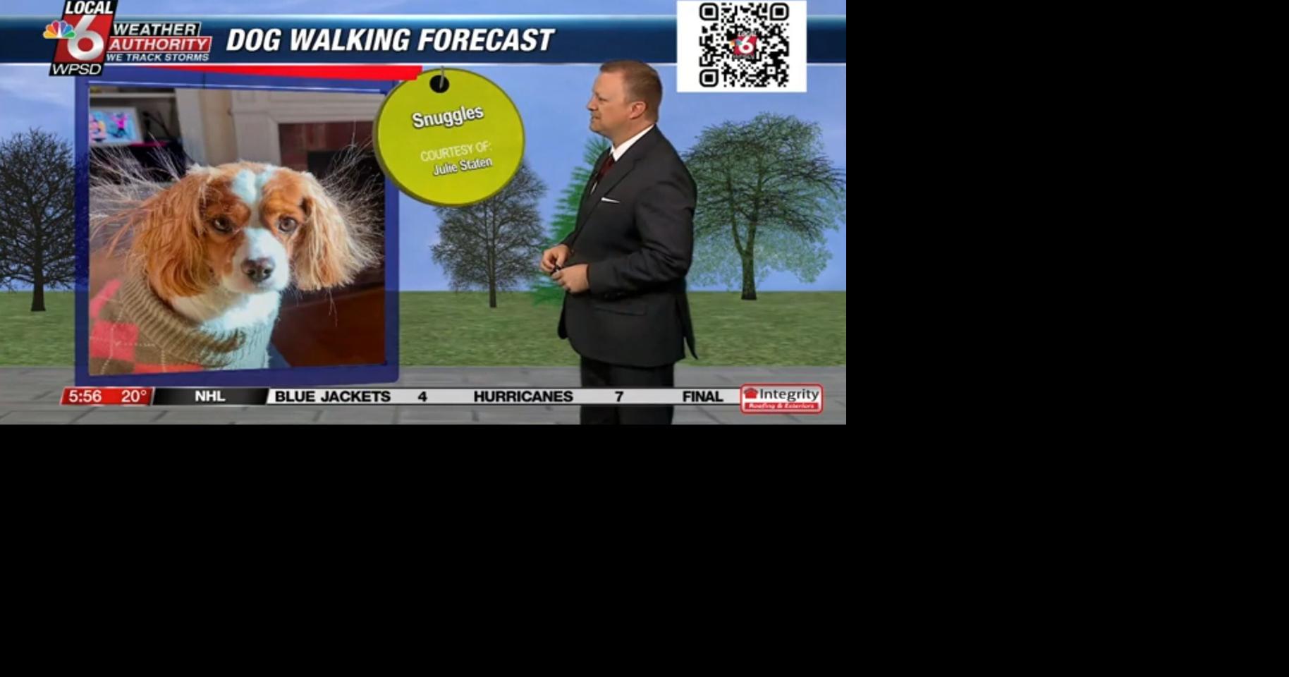 Dog walking forecast 1.24.25