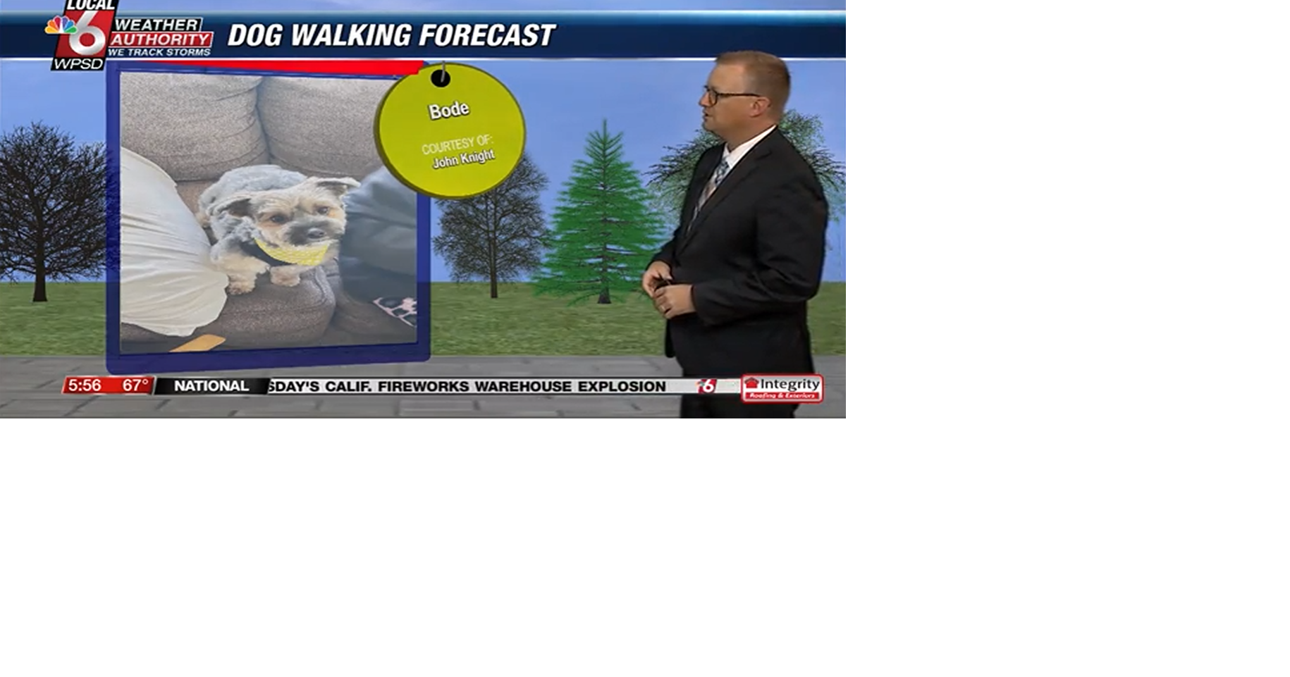 Dog walking forecast 7.3.25