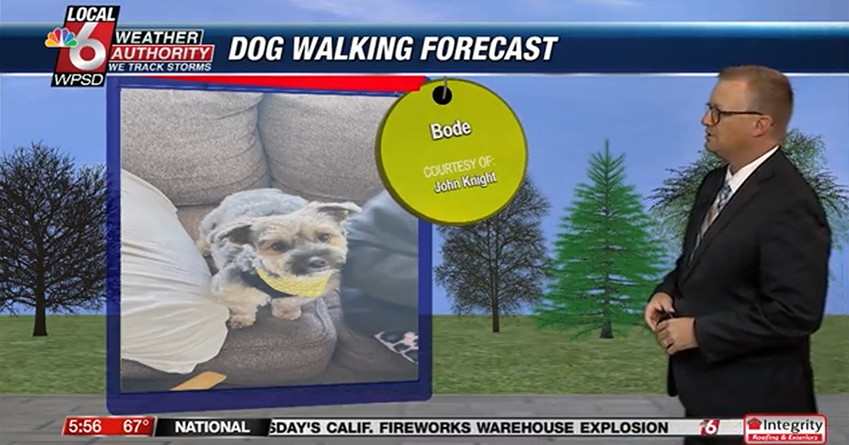 Dog walking forecast 7.3.25 Dog walking forecast 7.3.25