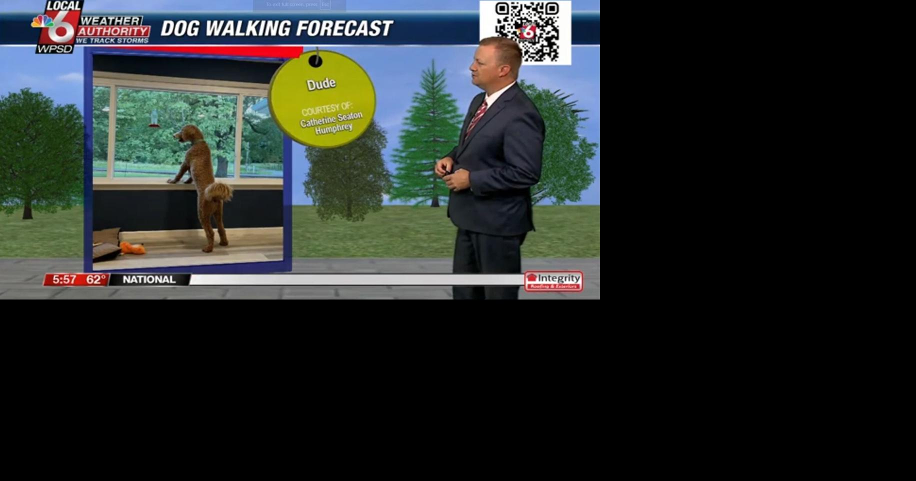 Dog walking forecast 7.19.2024 | Weather