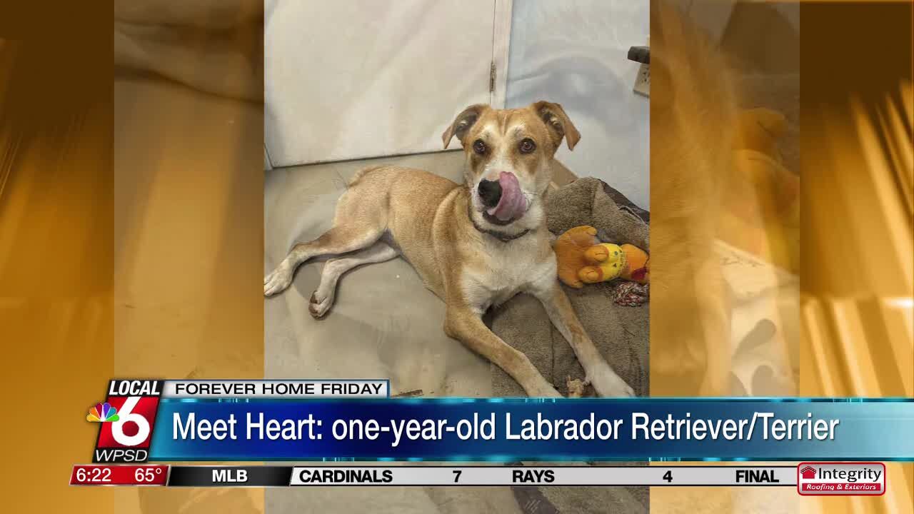 Adventsgeschichten für jeden tag erwachsene.