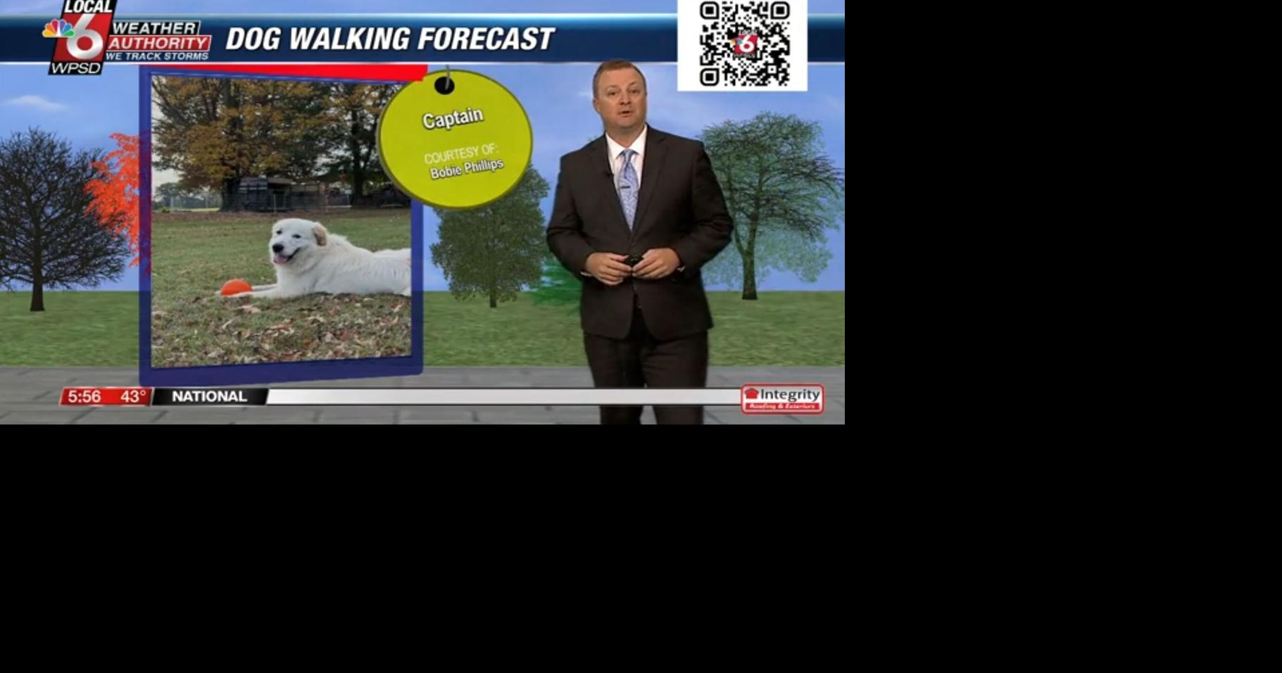 Dog walking forecast 11.21.24