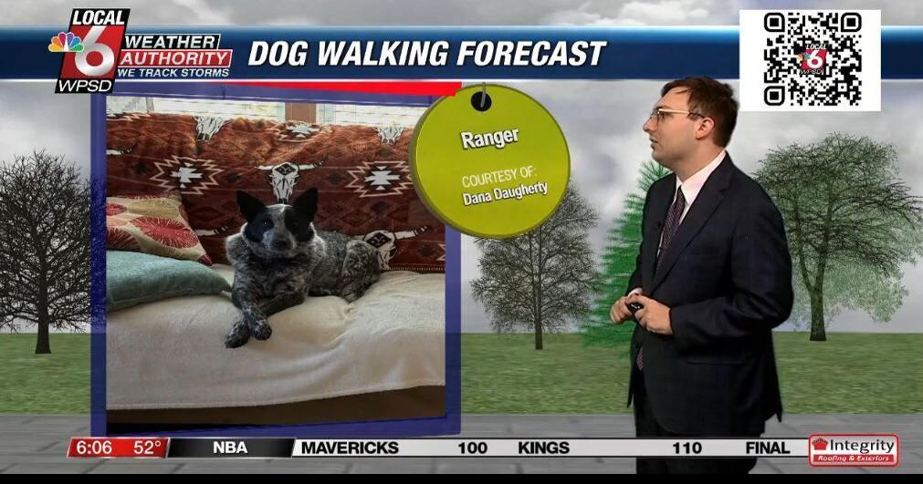 Dog walking forecast 12.31.24 | Weather