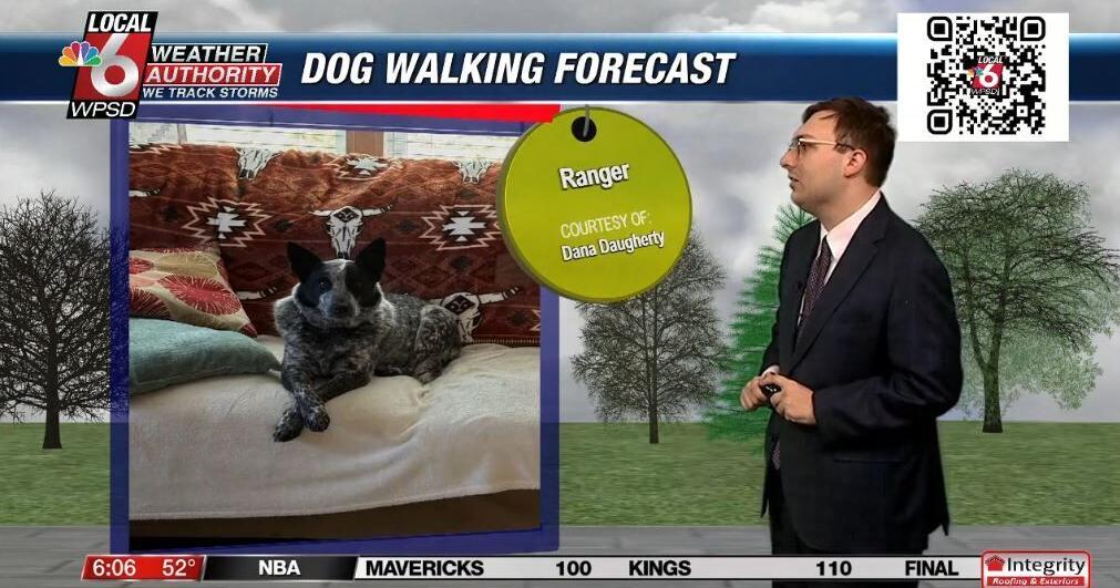 Dog walking forecast 12.31.24 | Weather Dog walking forecast 12.31.24 | Weather