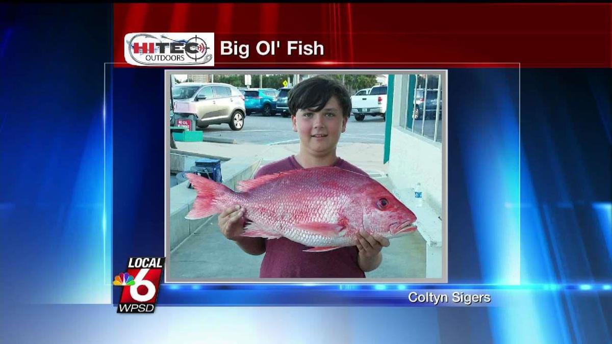 9 27 Big Ol Fish Archive Wpsd Local 6