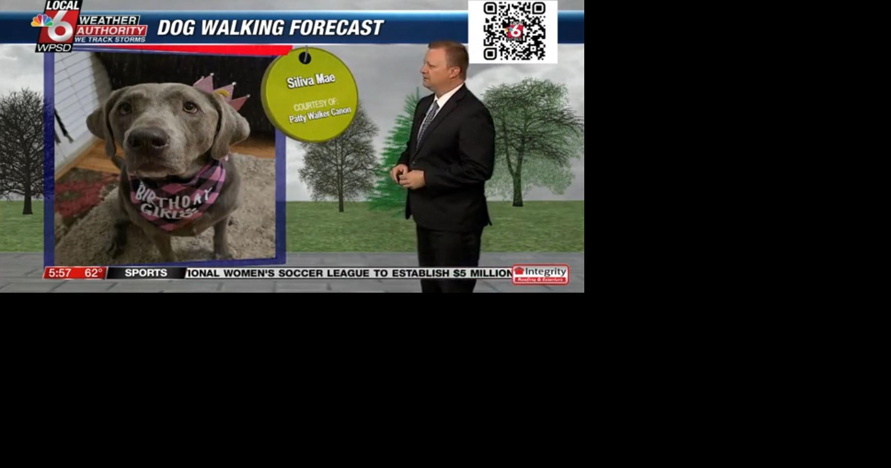 Dog walking forecast 2.6.25