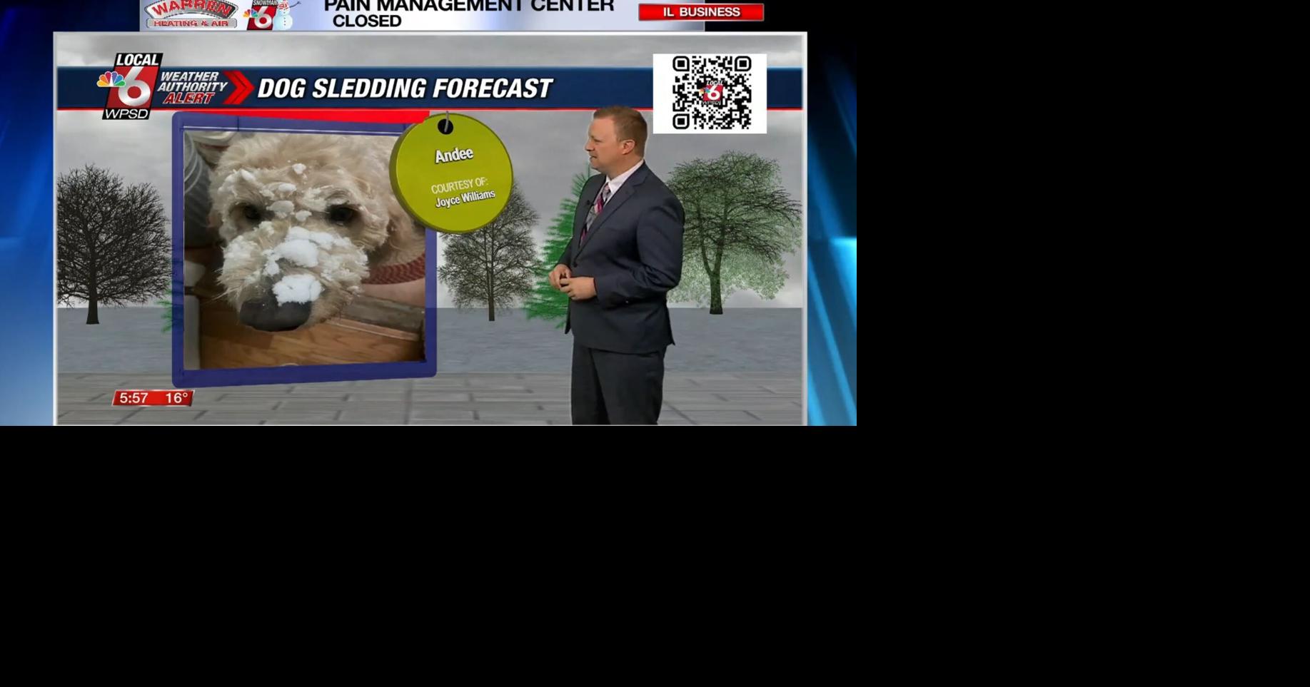 Dog walking forecast 2.19.25 | Weather