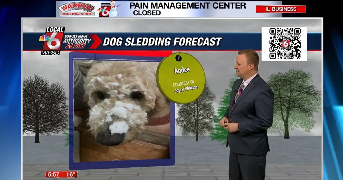 Dog walking forecast 2.19.25 | Weather Dog walking forecast 2.19.25 | Weather