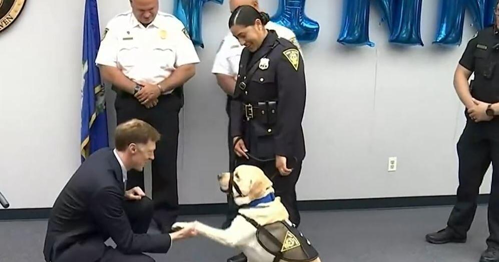 New Haven police welcome department's first comfort dog | <span class="tnt-section-tag no-link">News</span> - Vimarsana News