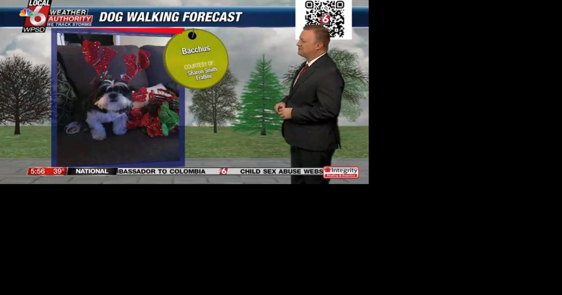 Dog walking forecast 12.13.24
