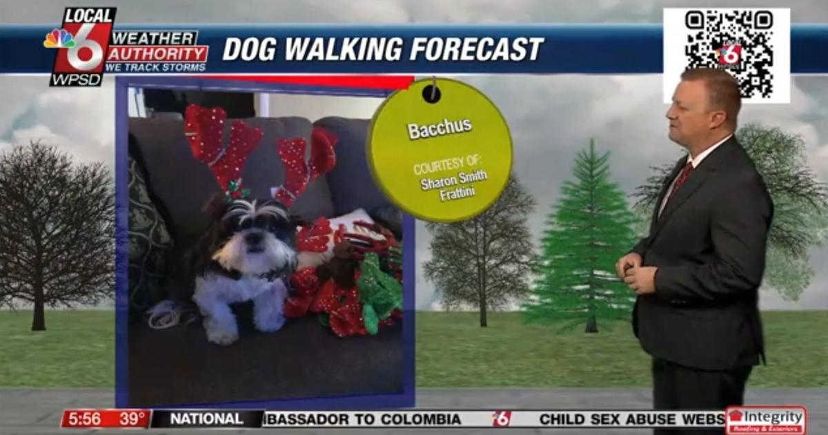 Dog walking forecast 12.13.24 Dog walking forecast 12.13.24