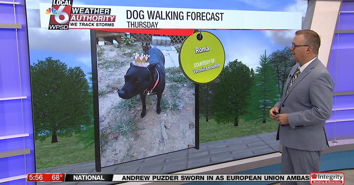 Dog walking forecast 8.21.25 Dog walking forecast 8.21.25