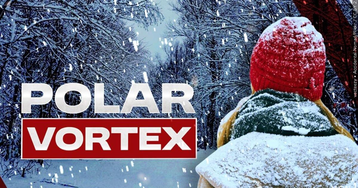 The polar vortex brings its bitter cold to the Southern US | News The polar vortex brings its bitter cold to the Southern US | News