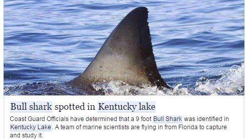 Don T Fall For Bull Sharks Fish Story Circulates Second Time