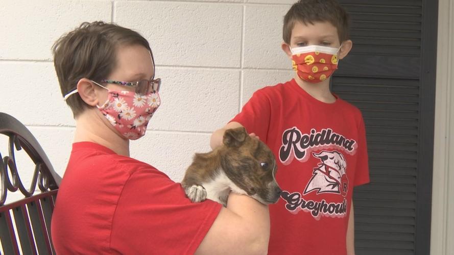 McCracken County Humane Society expansion means happier, healthier