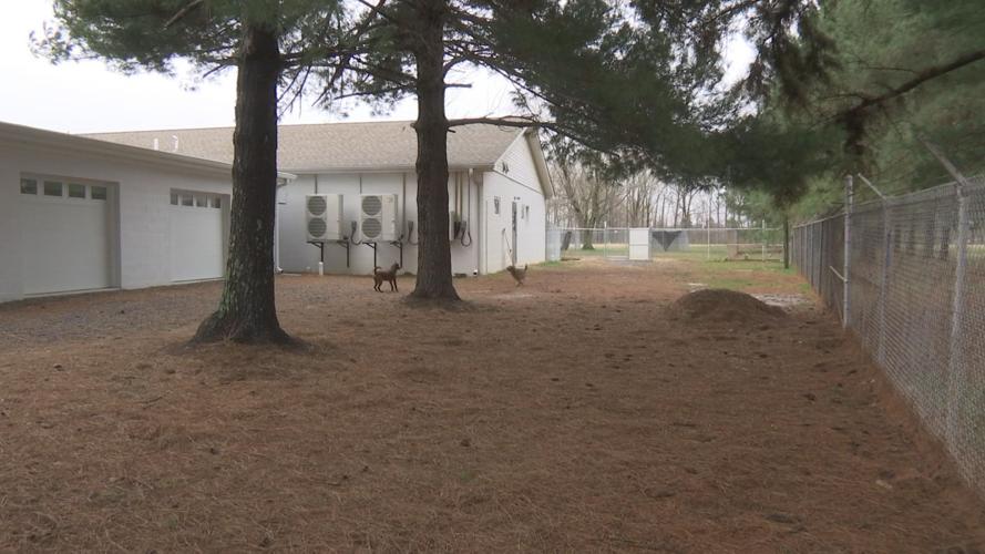 McCracken County Humane Society expansion means happier, healthier