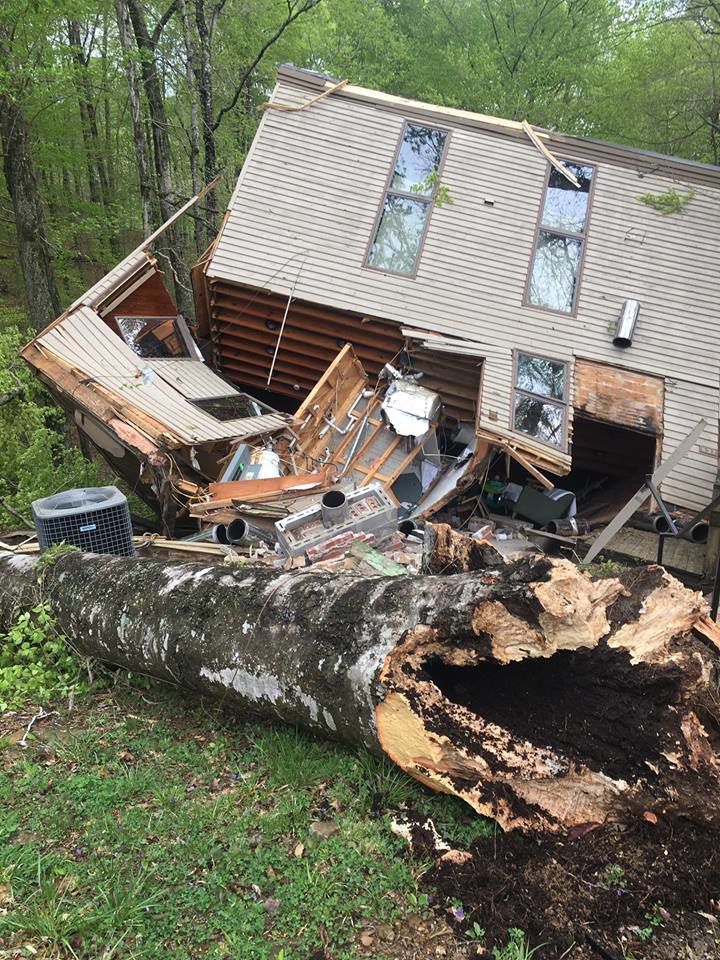 Tree Falls On Kentucky Cabin With 6 People Inside All Survive