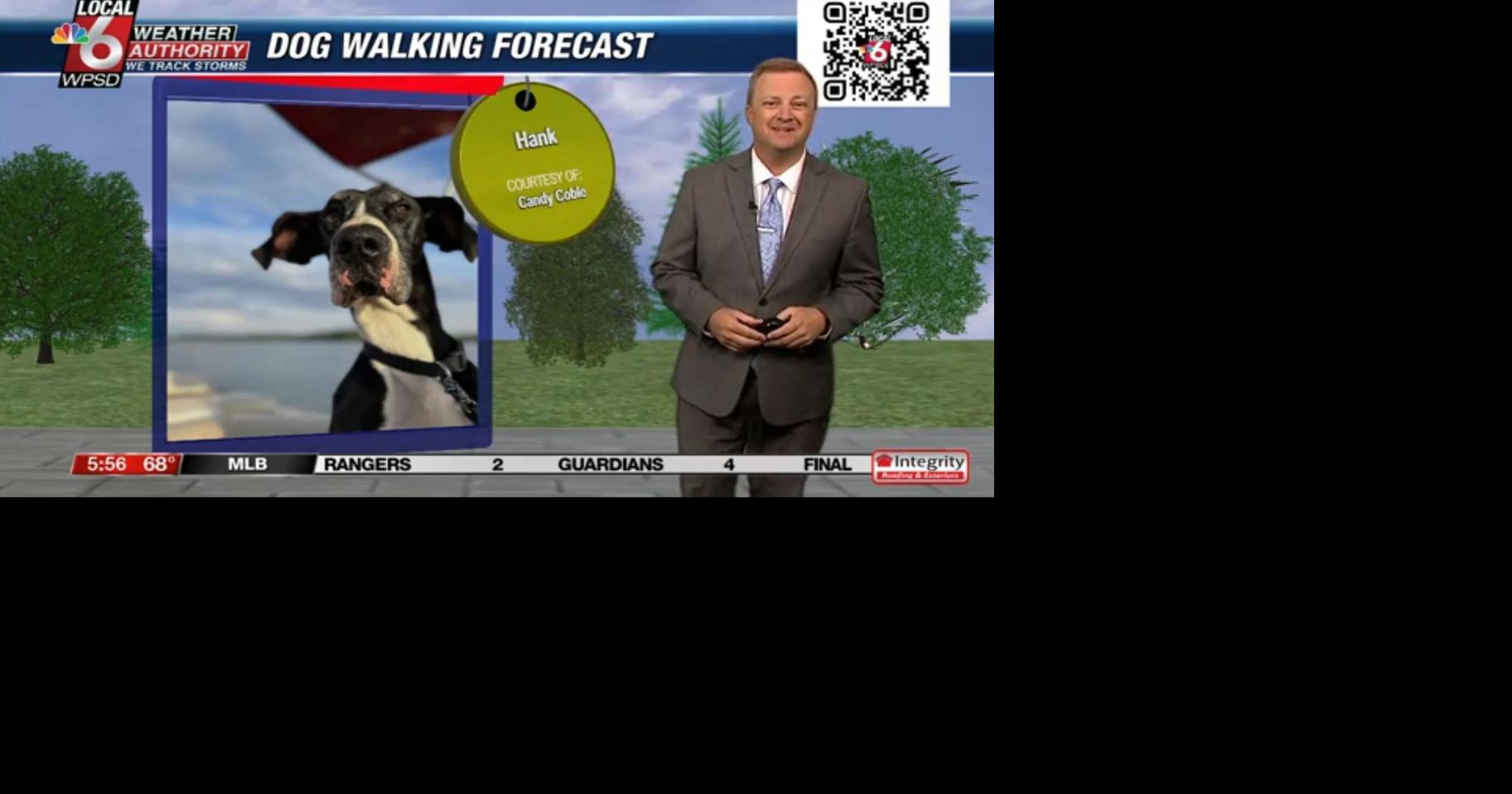 Dog walking forecast 8.26.24