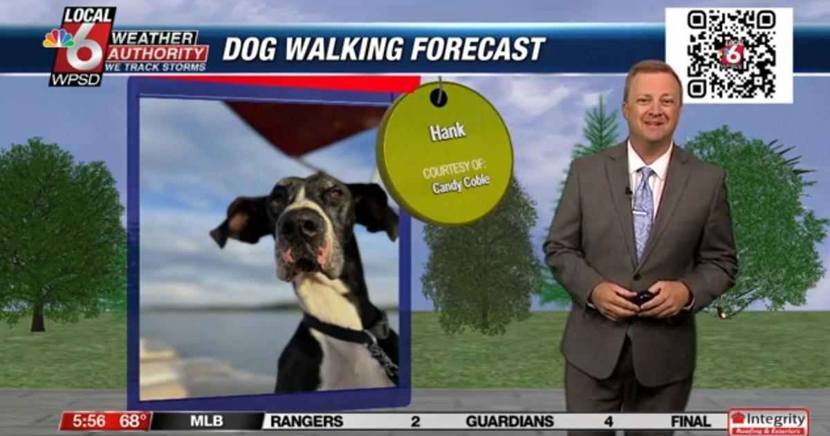 Dog walking forecast 8.26.24 Dog walking forecast 8.26.24