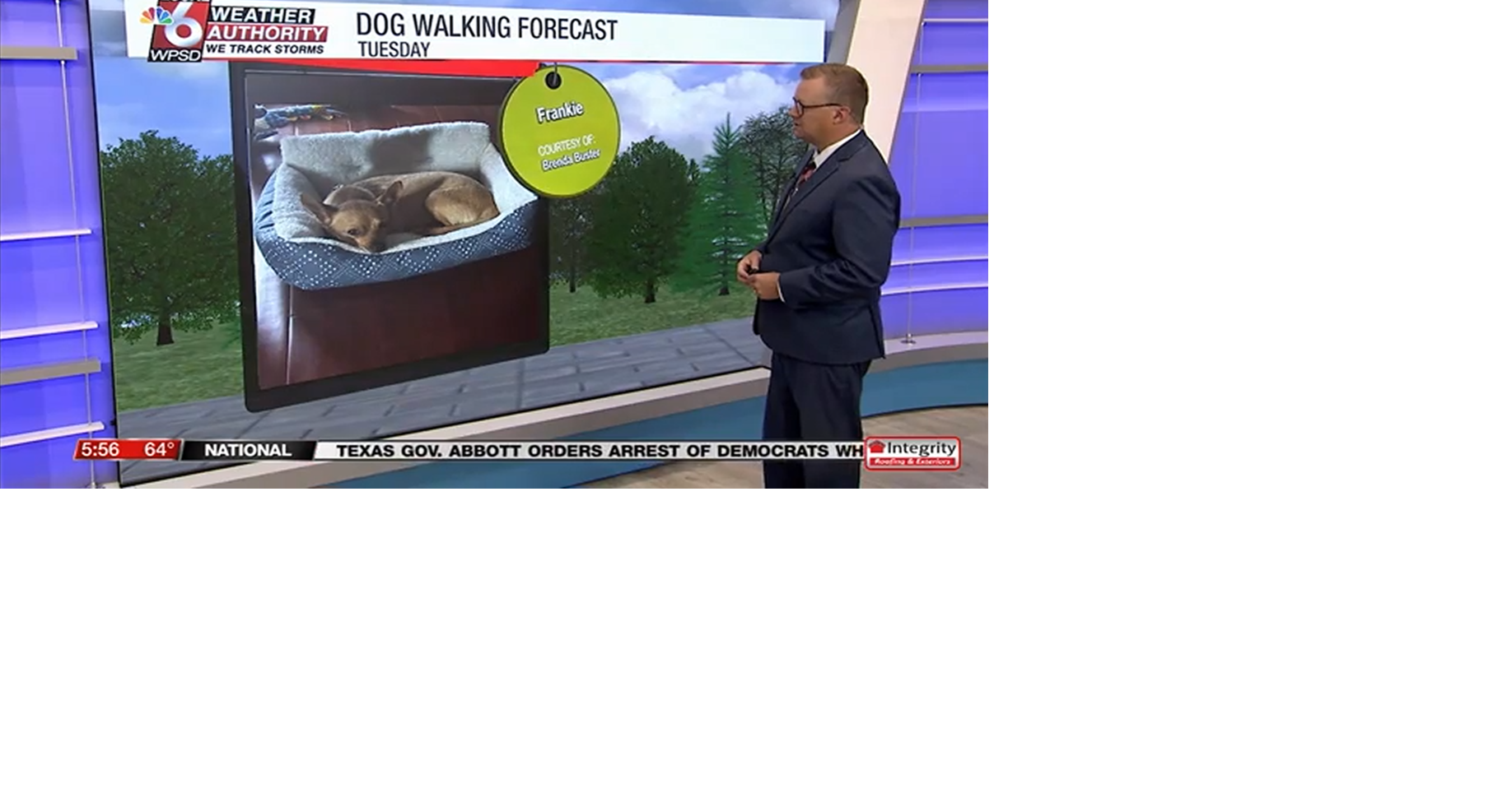 Dog walking forecast 8.5.25