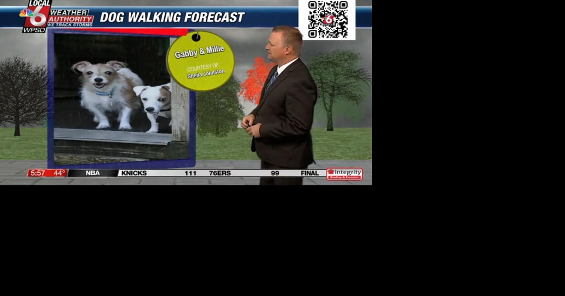Dog walking forecast 11.13.24