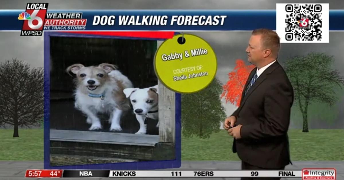 Dog walking forecast 11.13.24 Dog walking forecast 11.13.24