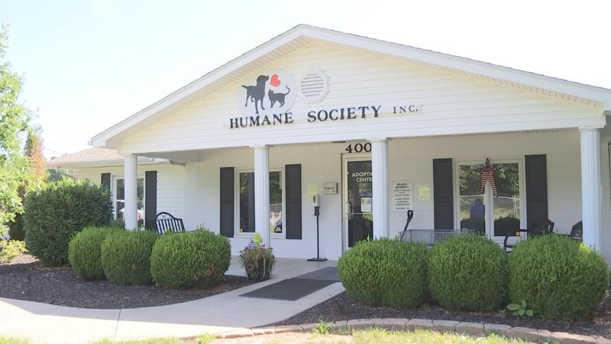 Best Friend Friday McCracken County's Humane Society is ready to bring