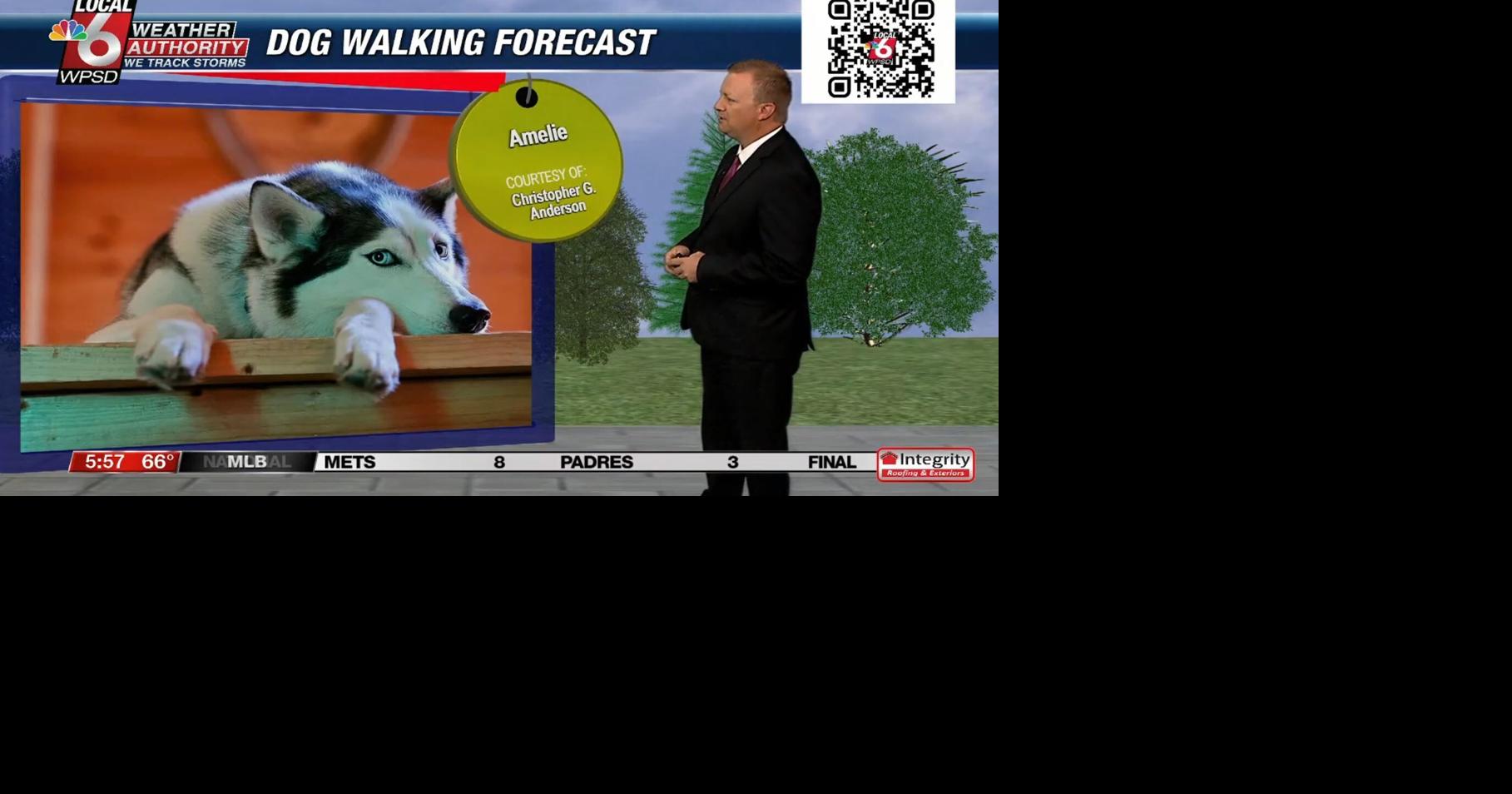 Dog walking forecast 8.23.24