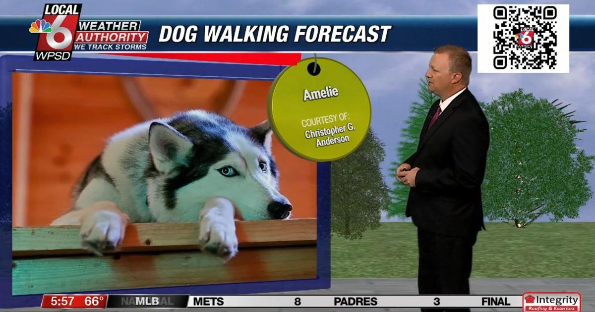 Dog walking forecast 8.23.24 Dog walking forecast 8.23.24