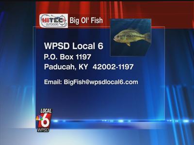 7 17 Big Ol Fish Big Ol Fish Wpsd Local 6
