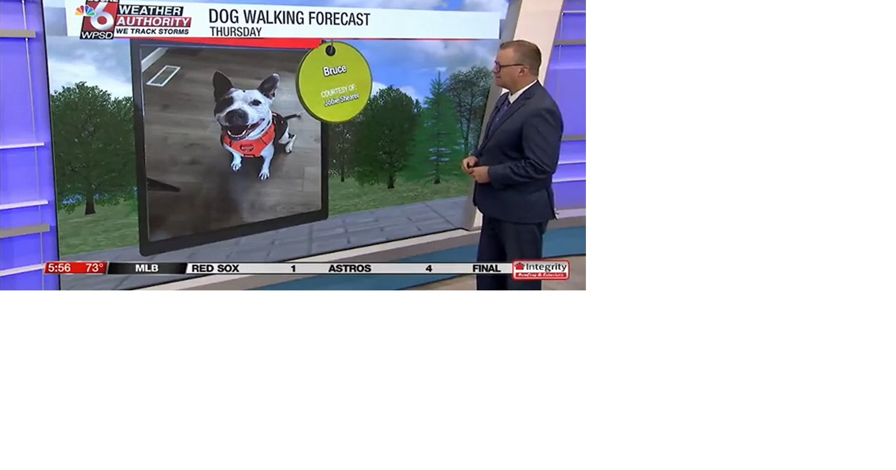 Dog walking forecast 8.14.25