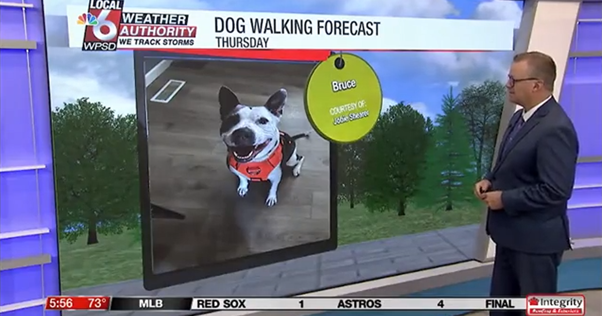 Dog walking forecast 8.14.25 Dog walking forecast 8.14.25
