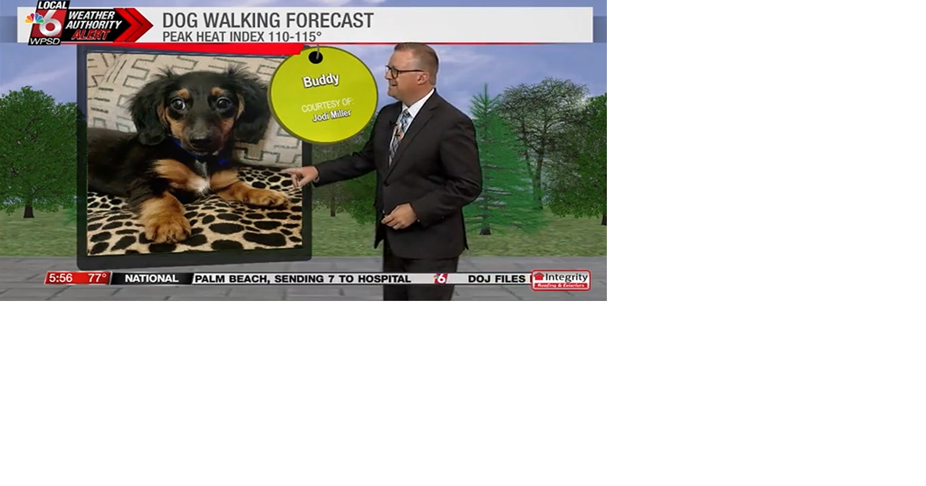 Dog walking forecast 7.29.25