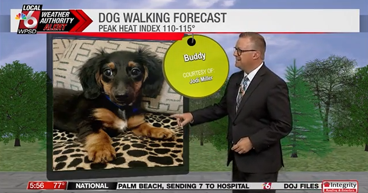 Dog walking forecast 7.29.25 Dog walking forecast 7.29.25