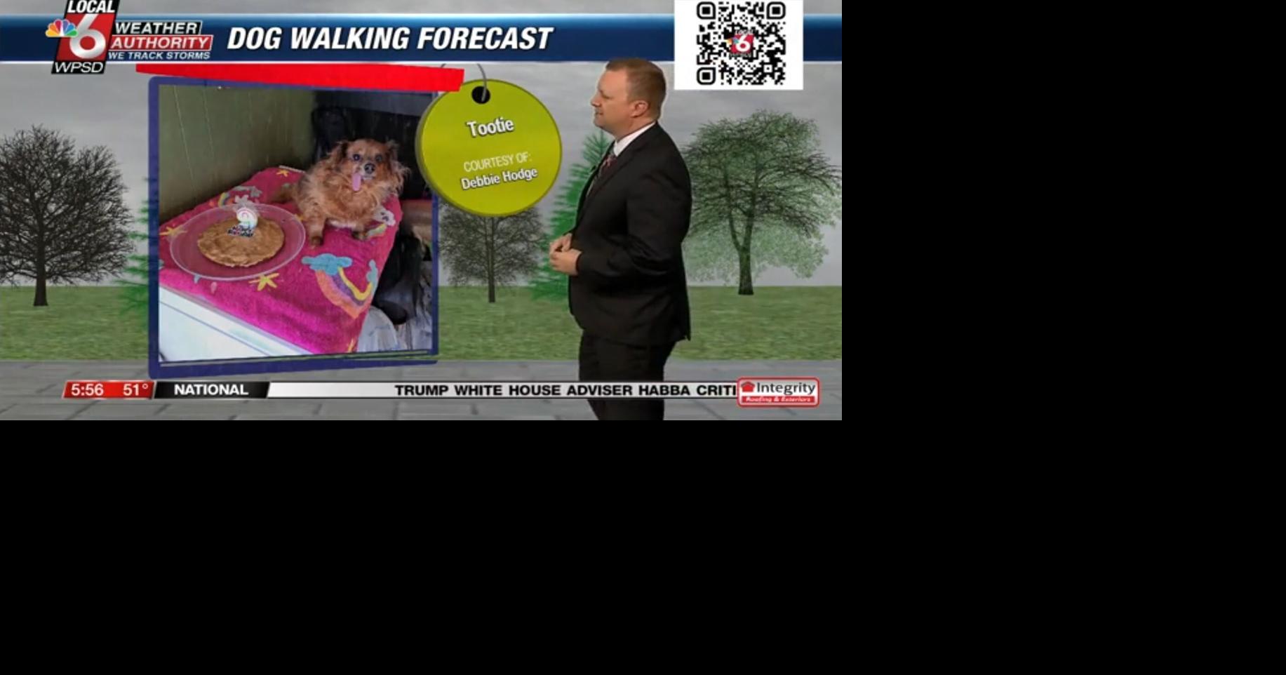 Dog walking forecast 3.5.25