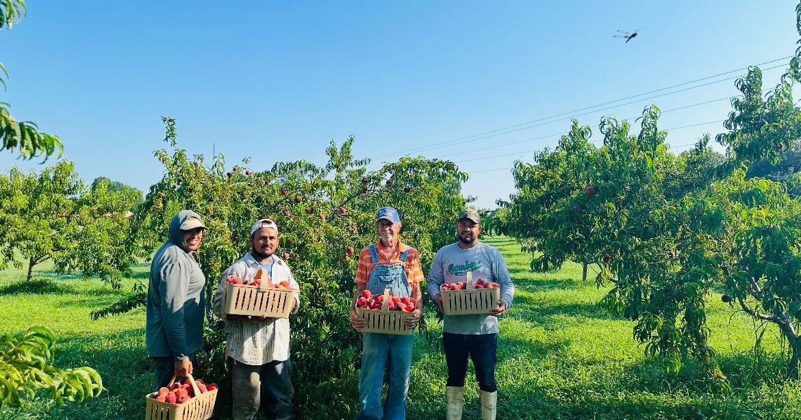 'They’re like our family' — Cartel violence impacts Paducah farm workers