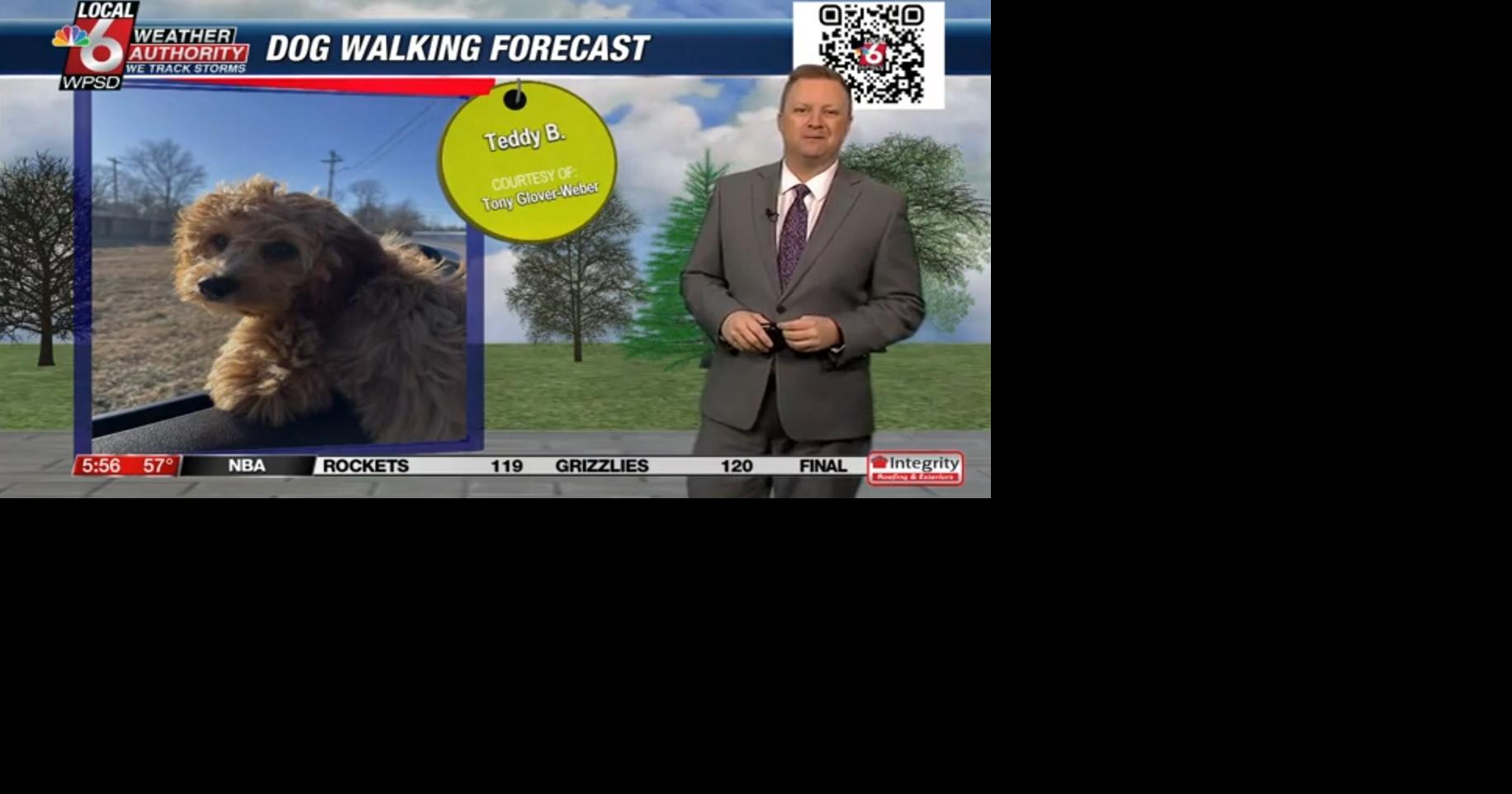 Dog walking forecast 1.31.25