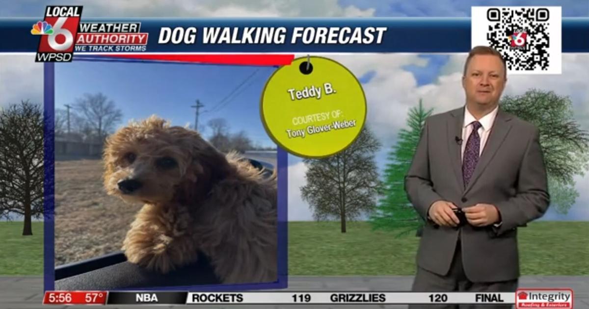 Dog walking forecast 1.31.25 Dog walking forecast 1.31.25