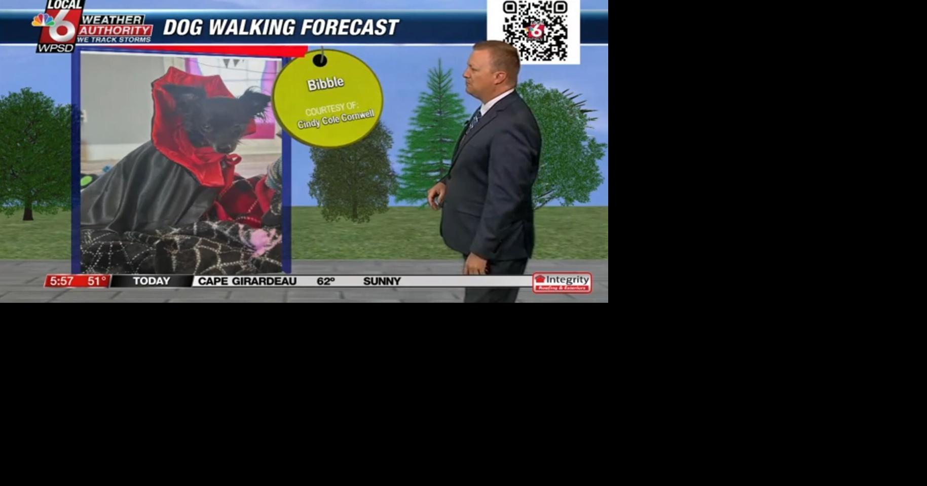 Dog walking forecast 11.1.24 | Weather