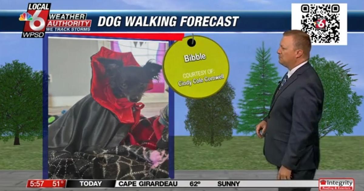 Dog walking forecast 11.1.24 | Weather Dog walking forecast 11.1.24 | Weather
