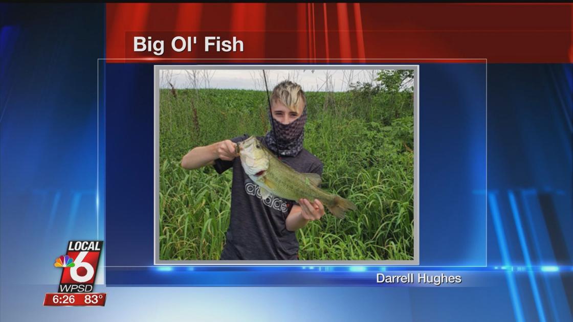 8 17 Big Ol Fish Sports Wpsd Local 6