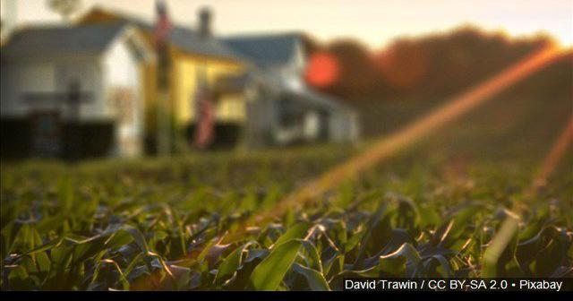 ‘It’s more than just driving a tractor’: Farmers, ag pros talk business, marketing at Murray farm diversity workshop | News