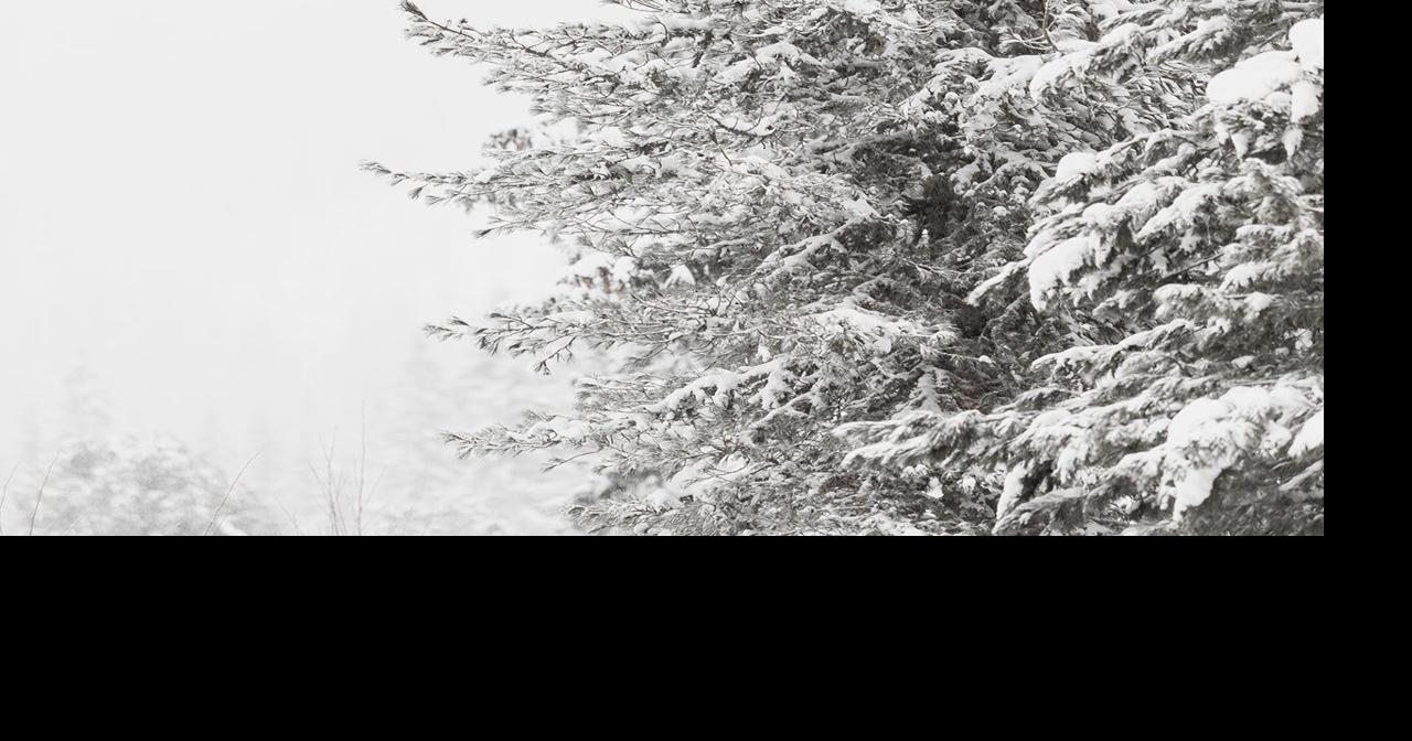 Health professional unpacks Seasonal Affective Disorder