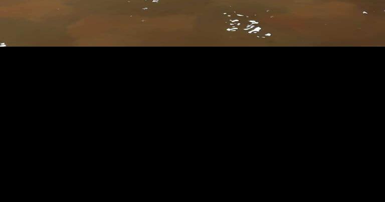 Crews begin to clean up after local hospital floods | News