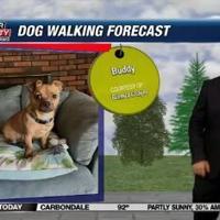 Dog walking forecast 7.16.24 | Dog Walking Forecast Dog walking forecast 7.16.24 | Dog Walking Forecast